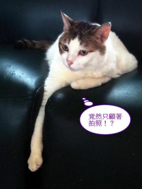甜甜陷危機