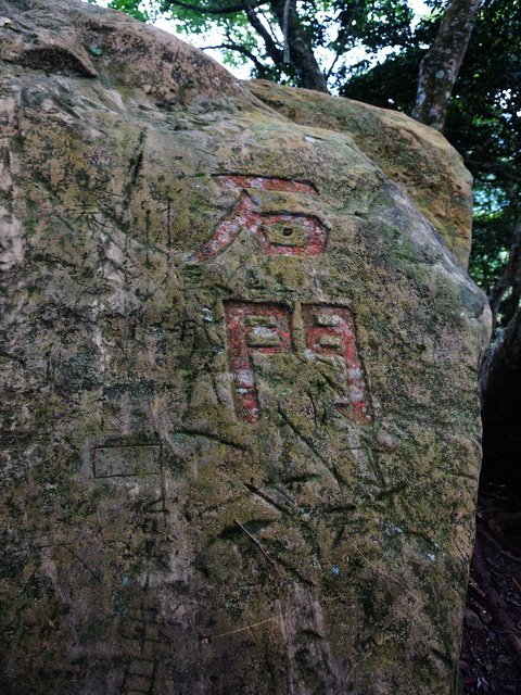 150623雙胞蘿莉登山去 (11).jpg