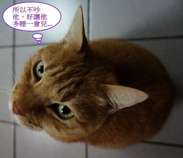 啾啾的愛心早餐