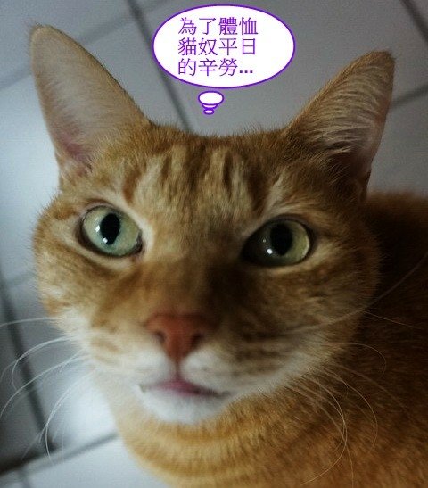 啾啾的愛心早餐