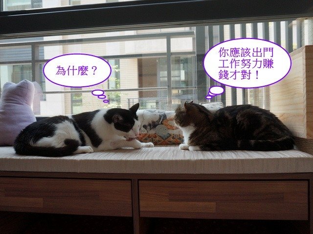 捲捲的苦口婆心