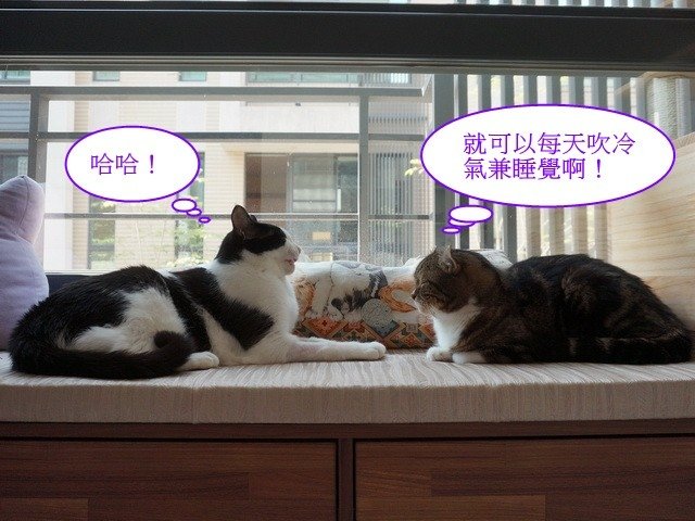 捲捲的苦口婆心