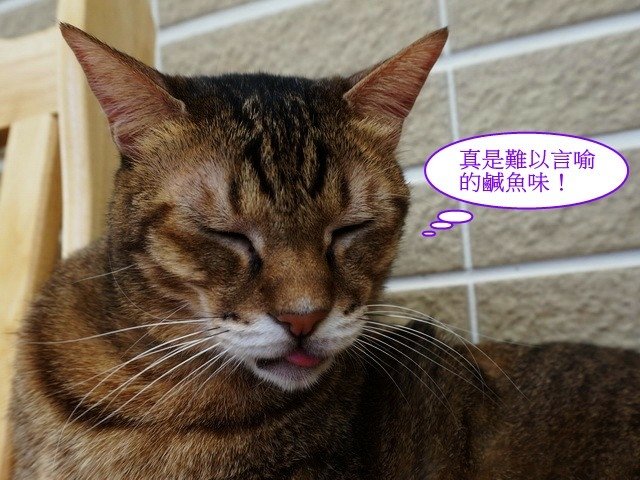 尼尼有異味