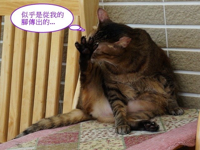 尼尼有異味