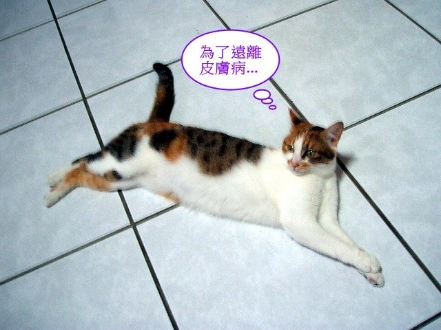 下雨天樂樂來烘肉