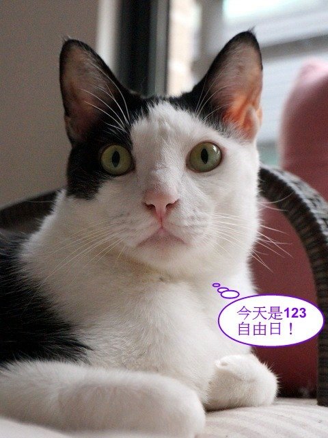乳乳的123自由日