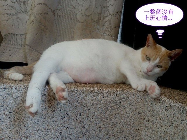 亮亮的星期一症候群