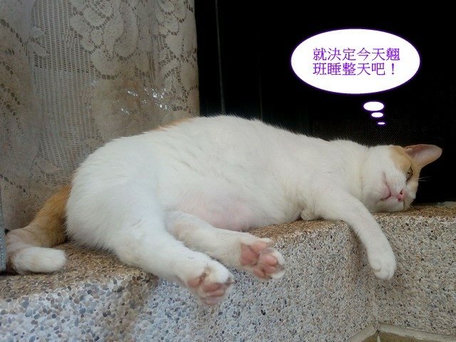 亮亮的星期一症候群