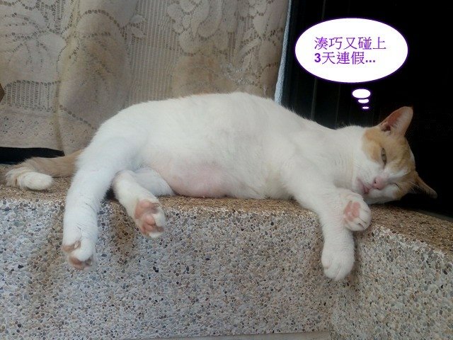 亮亮的星期一症候群