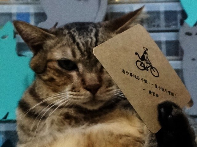嘎嘎的人生哲學