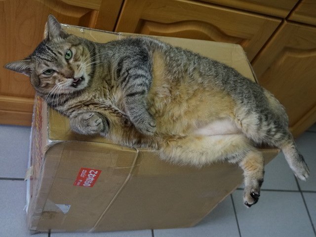 150710聖誕夜驚魂  傑克有夠萌之開箱 (5).jpg