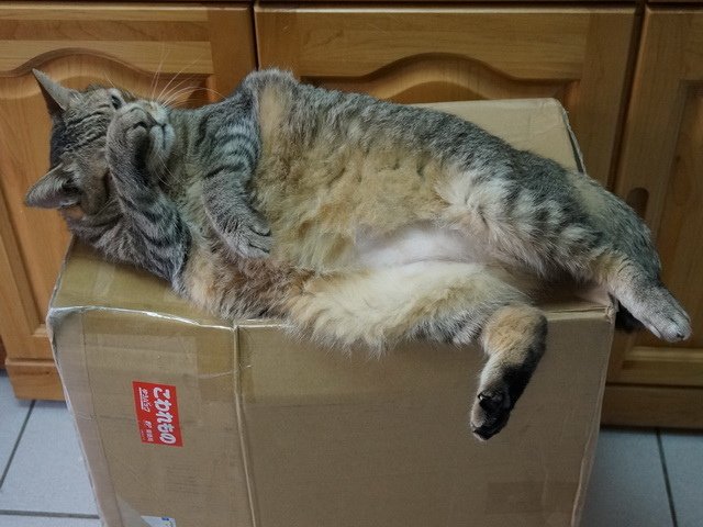 150710聖誕夜驚魂  傑克有夠萌之開箱 (3).jpg
