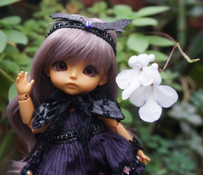小魔女姐妹花開車兜風