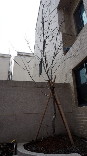 160207到新家整理 (13).jpg