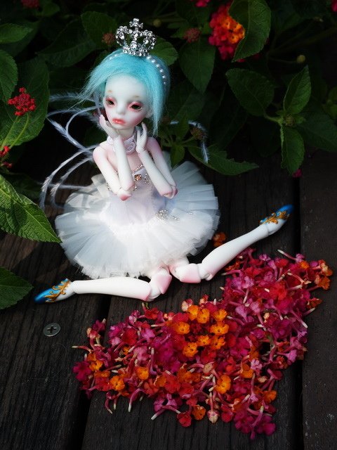 芭蕾舞娘