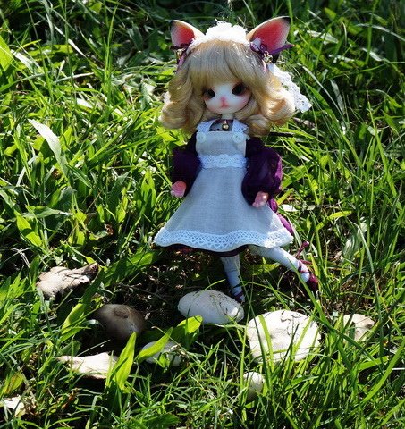 小貓娘尋獲巨大野菇