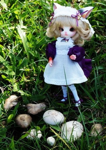 小貓娘尋獲巨大野菇