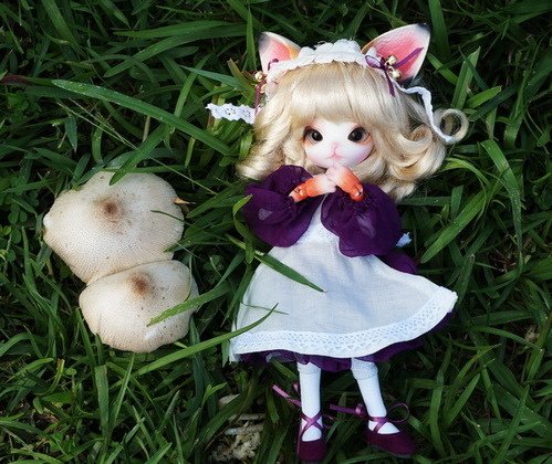 小貓娘尋獲巨大野菇