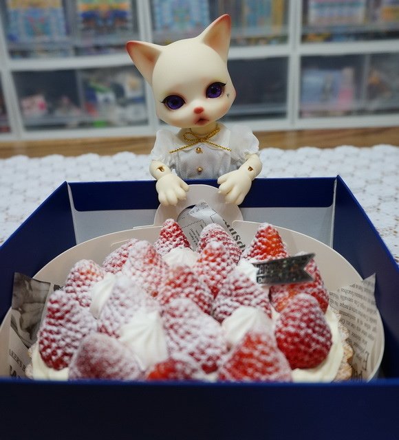 170221草莓祭的甜食大車拚 (8).jpg