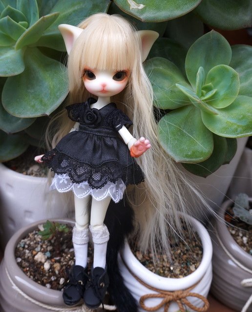 俏皮小貓逛花園