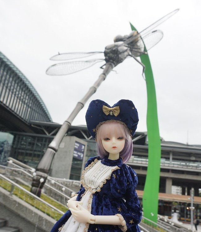 優雅淑女過聖誕