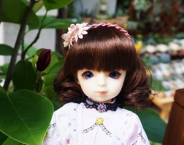 粉紅淑女小蘿莉