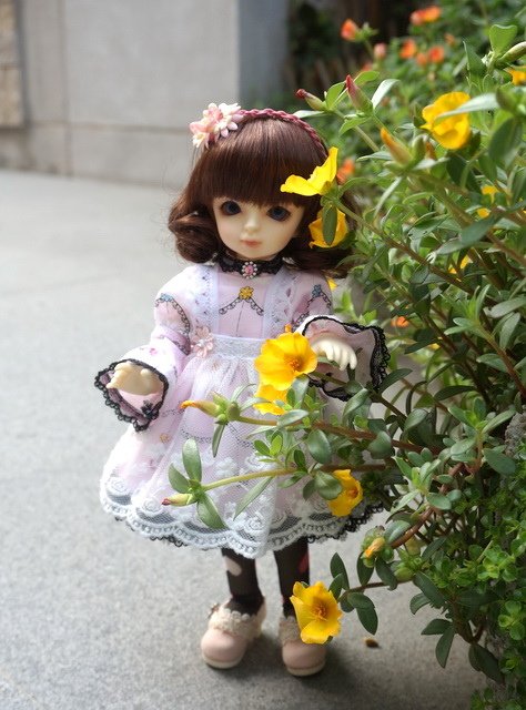 粉紅淑女小蘿莉