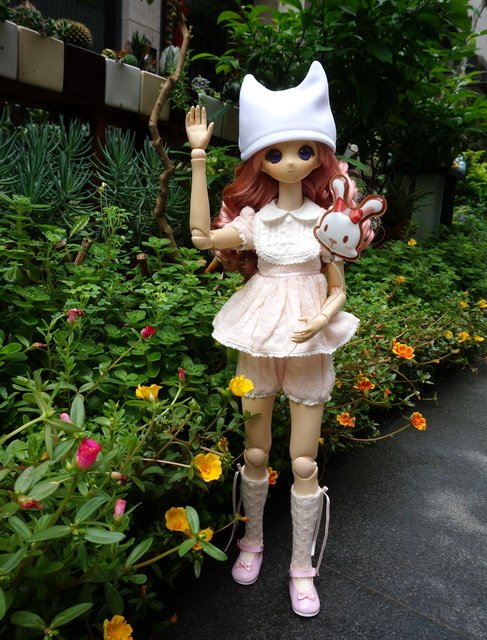 花園抓瓢蟲