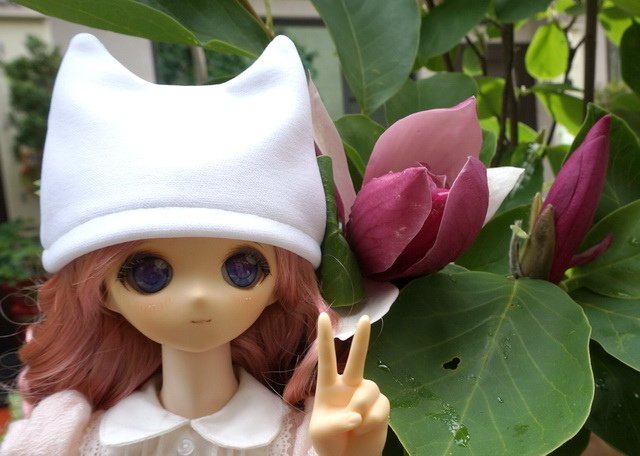 花園抓瓢蟲