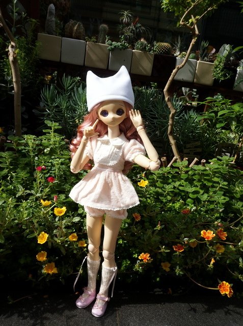 花園抓瓢蟲