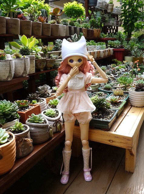 花園抓瓢蟲