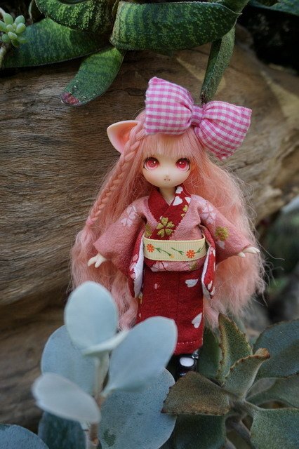 浴衣貓耳娘
