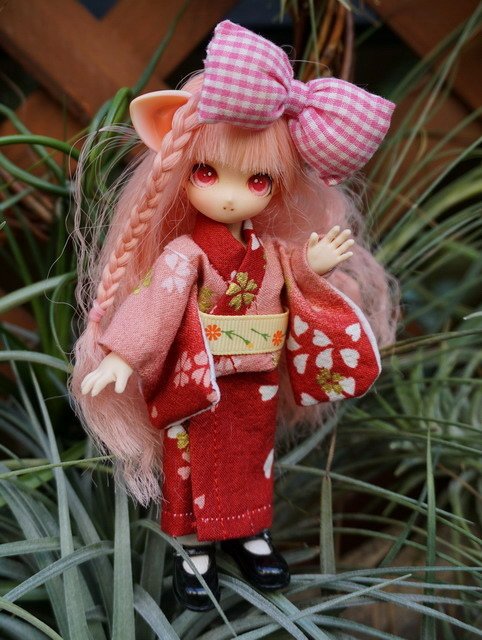 浴衣貓耳娘