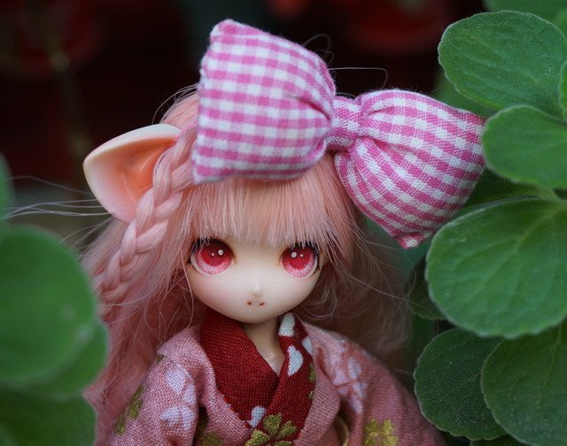 浴衣貓耳娘