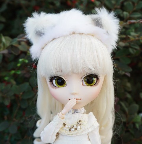 白貓美少女