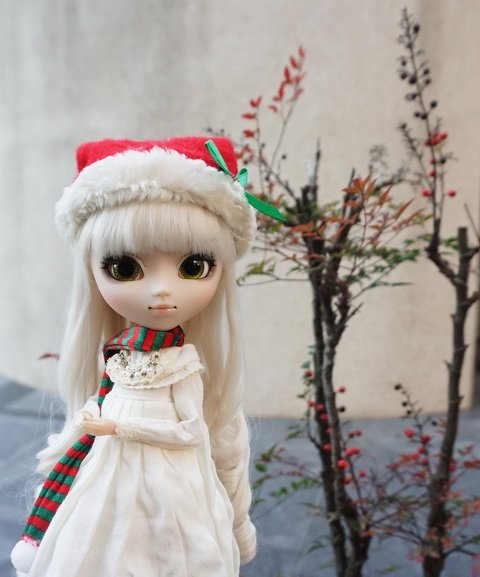 聖誕小美人