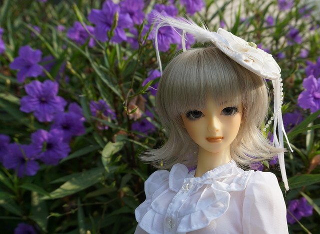 傀儡新娘雙子淑女洋服