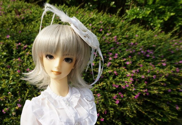 傀儡新娘雙子淑女洋服