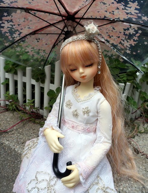 櫻花愛情傘