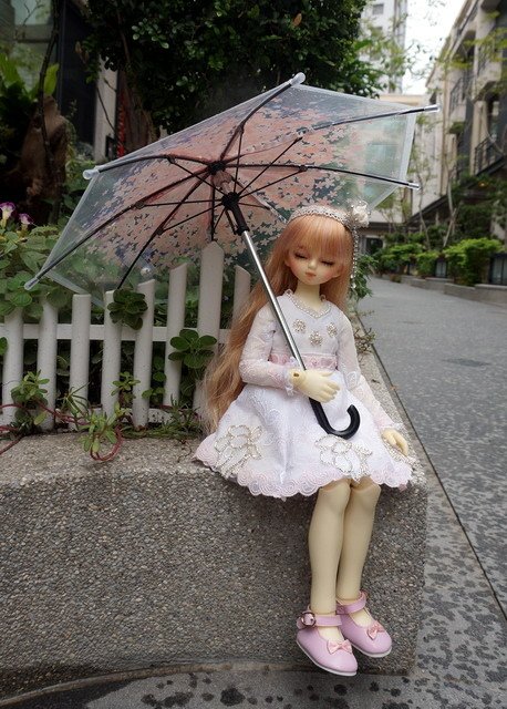 櫻花愛情傘