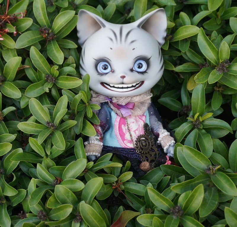 一家三口柴郡貓