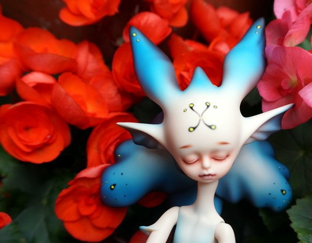 藍花魚