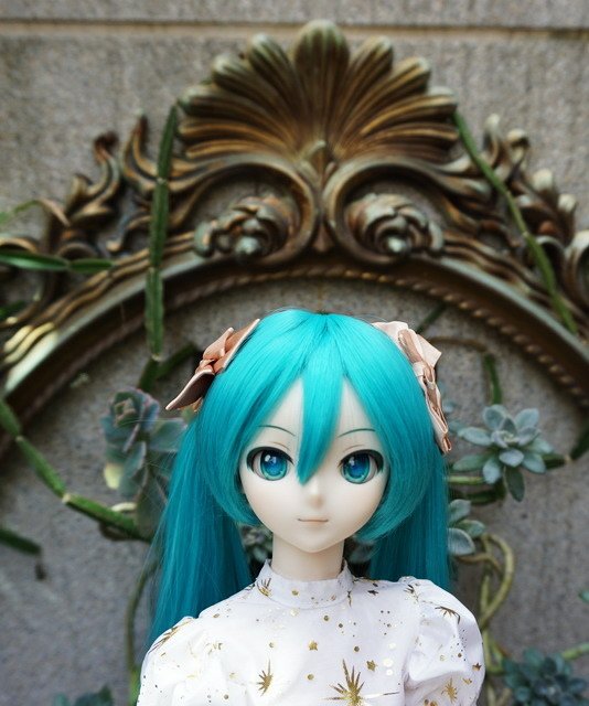 初音的金星洋裝