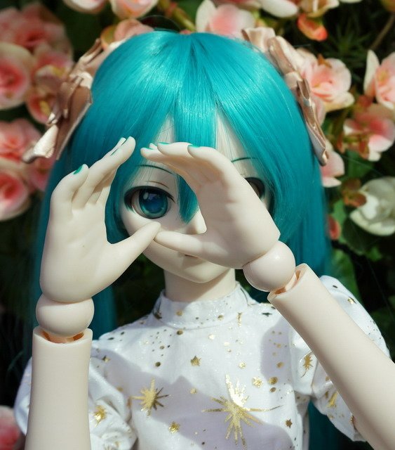 初音的金星洋裝