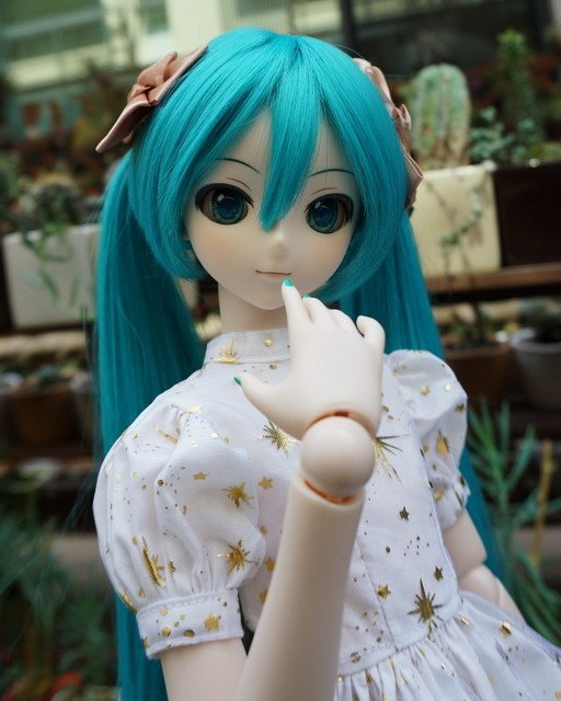 初音的金星洋裝