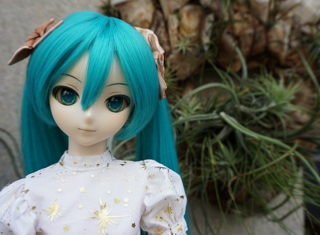 初音的金星洋裝