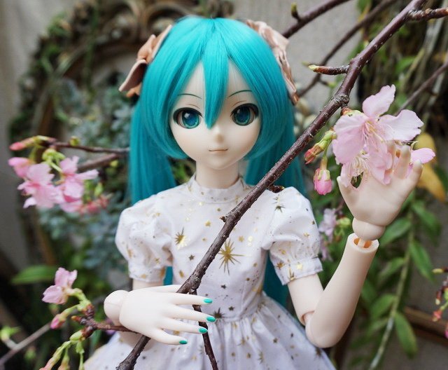 初音的金星洋裝