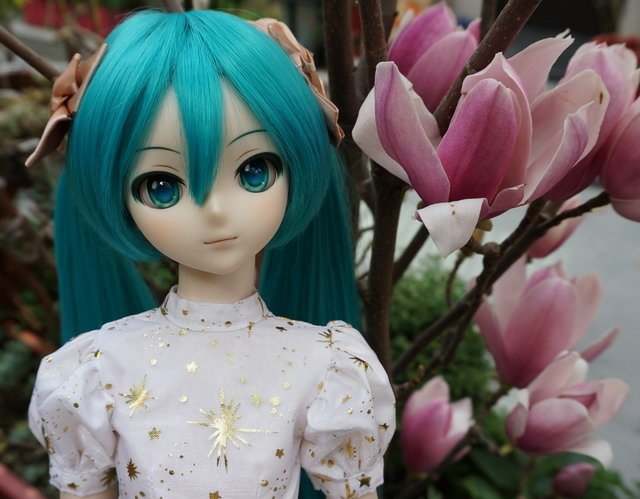 初音的金星洋裝