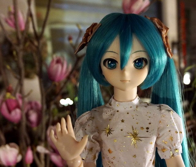 初音的金星洋裝