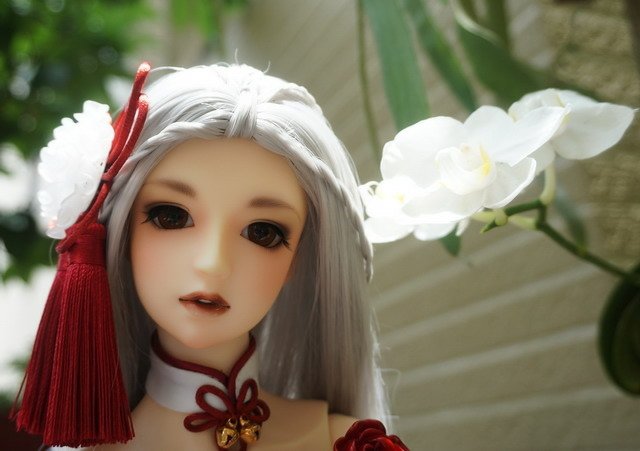 鶴舞禮服